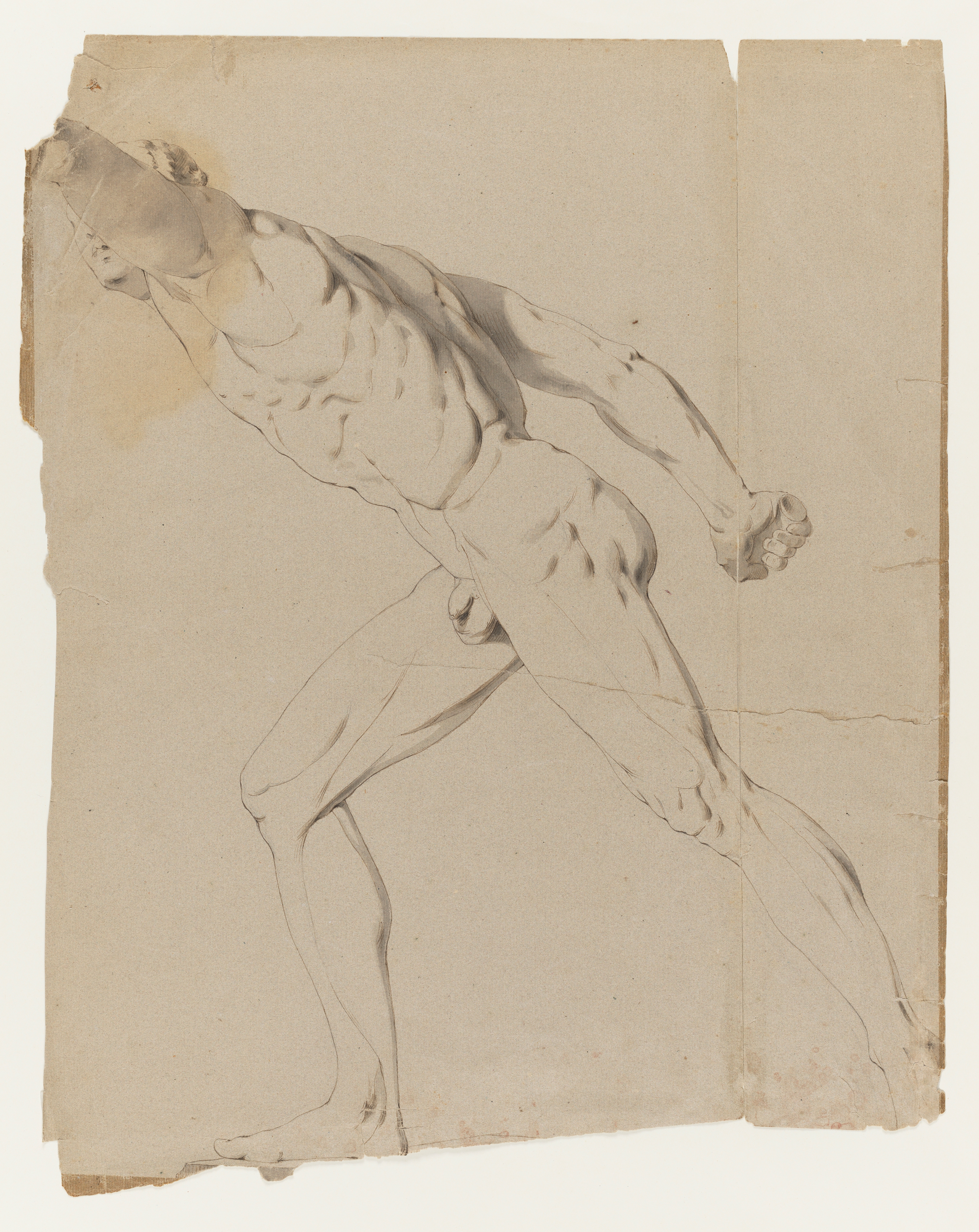 Drawing of a nude male figure, identified as a study of the Hellenistic sculpture known as the 'Borghese Gladiator', which is at the Louvre in Paris (formerly at the Villa Borghese, Rome). The figure lunges forwards dramatically (towards the left of the sheet), his left arm raised and obscuring his face; his right arm behind clutching a sword hilt. Numerous tears and creases throughout; a piece of the sheet has been torn away from the left and lower right sides. Made by Joseph Wright of Derby (1734 - 1797), c. 1764-1765. Pen and ink and grey ink wash over pencil on brown paper.