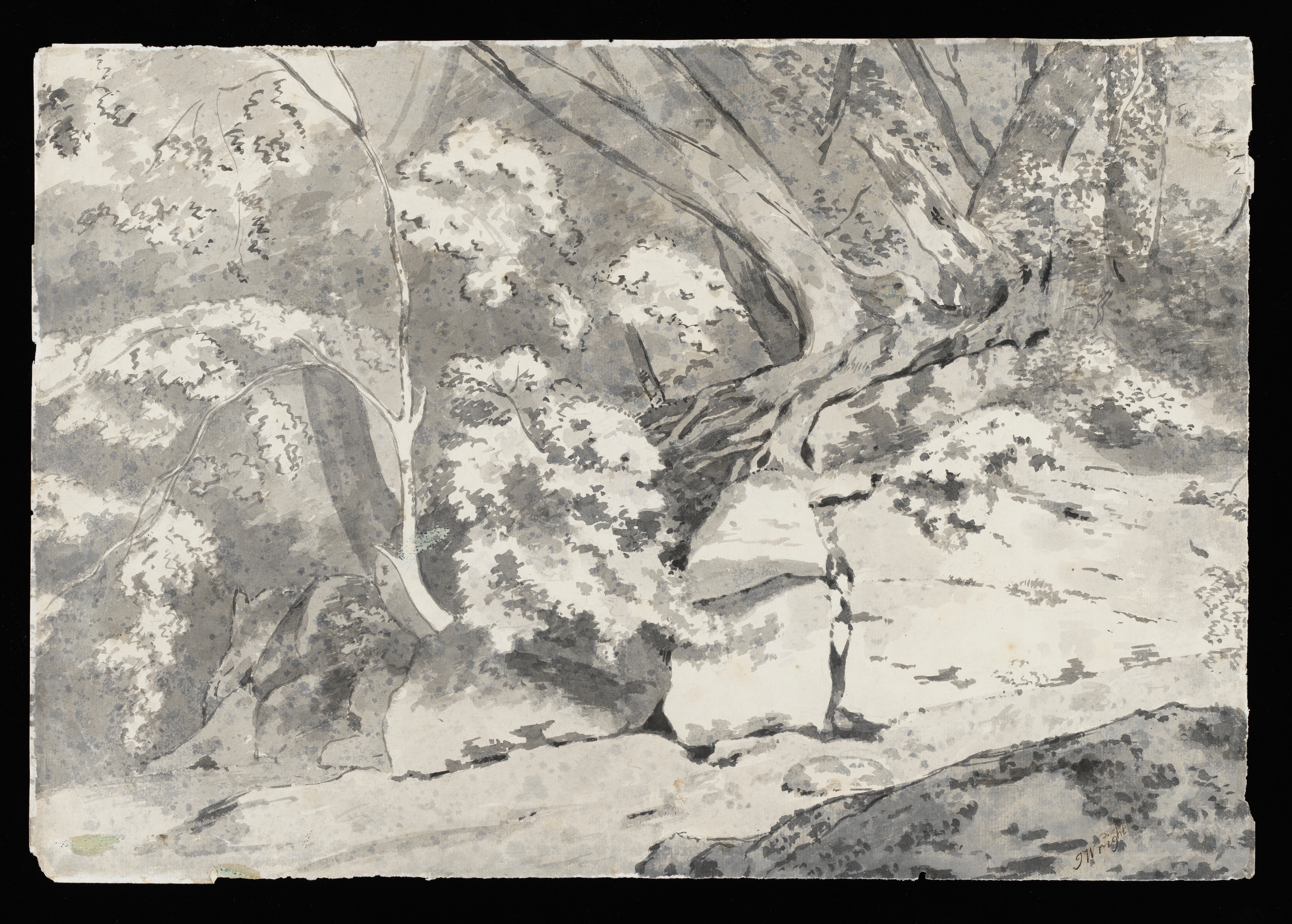 A drawing of a woodland landscape, the central focus of which is a group of trees growing upon a bank of rock. To the right hand side of the foreground is a dark rock. Inscribed verso, top left, in ink: 'July 30th 1782 - / from a sketch of Mr. Wright's' and below, in pencil '837-7-21'. The edges of the sheet are rough, and sheet shows creases throughout. Lower right corner is missing. Made by an unknown artist, after Joseph Wright (1734 - 1797). Ink and grey ink wash over pencil on paper. Displayed in a cream window mount.