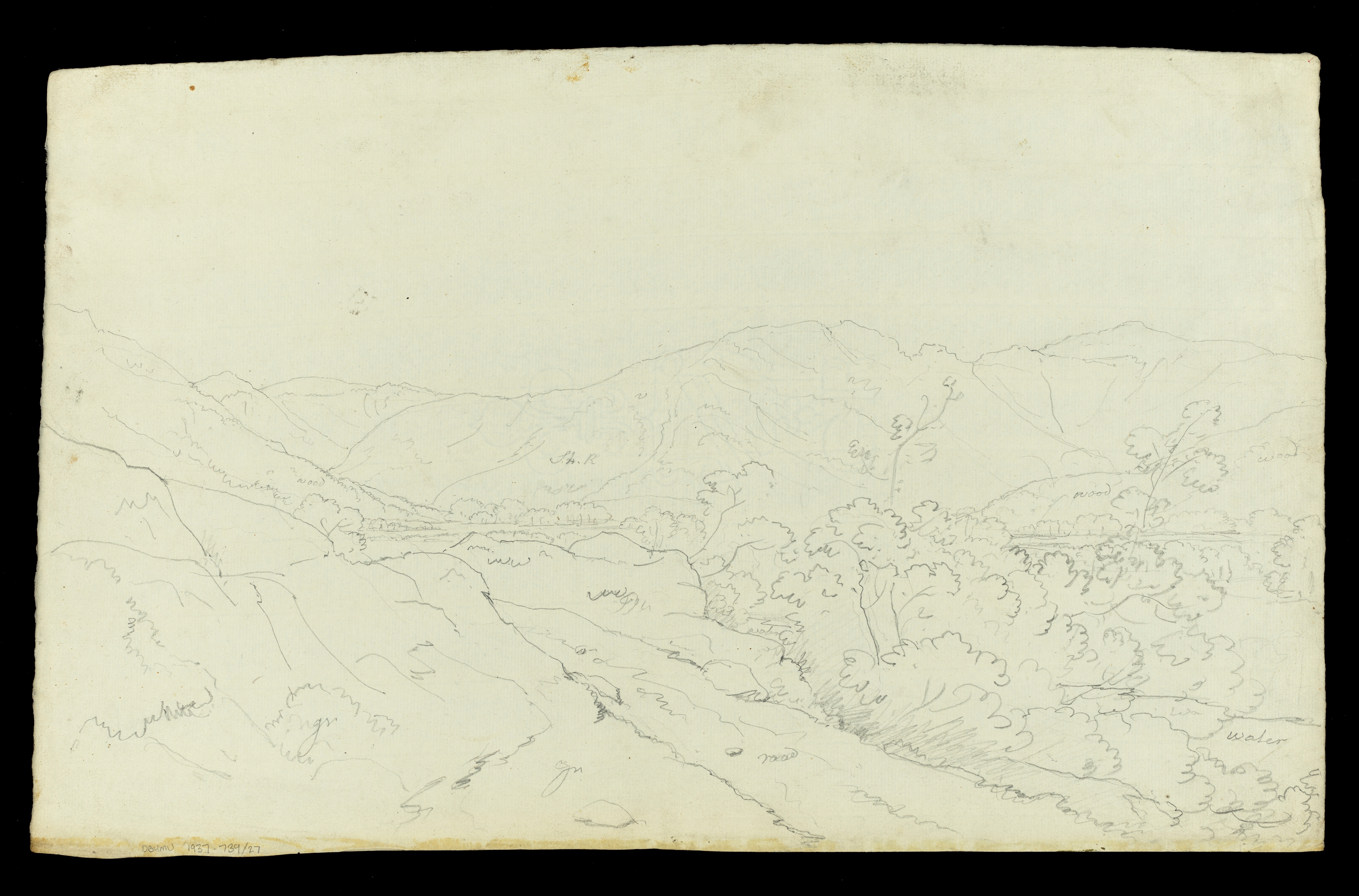 Drawing by unknown artist; 'Head of a Boy or Youth,' drawn in pen and ink; height 8 1/8 in 6 3/8 in