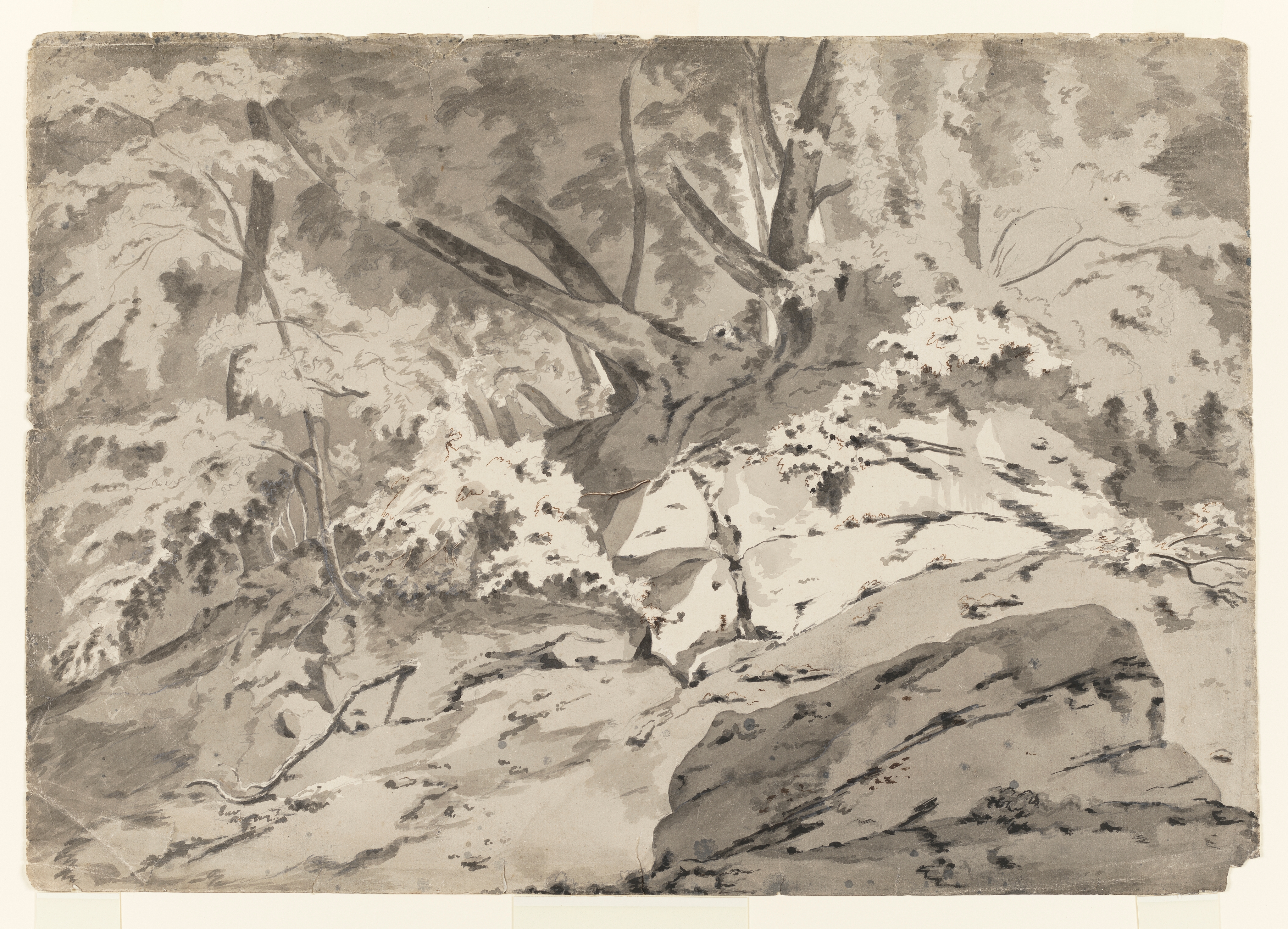 Study of a woodland landscape, the central focus being a group of trees growing upon a bank of rock. Inscribed to recto, lower right: 'J Wright', and verso: 'An origina sketch by Josh. Wright Esqr.' The edges of the sheet are rough and the lower left corner is missing. Made by Joseph Wright (1734 - 1797). Ink and grey ink wash over pencil on paper. In cream window mount.