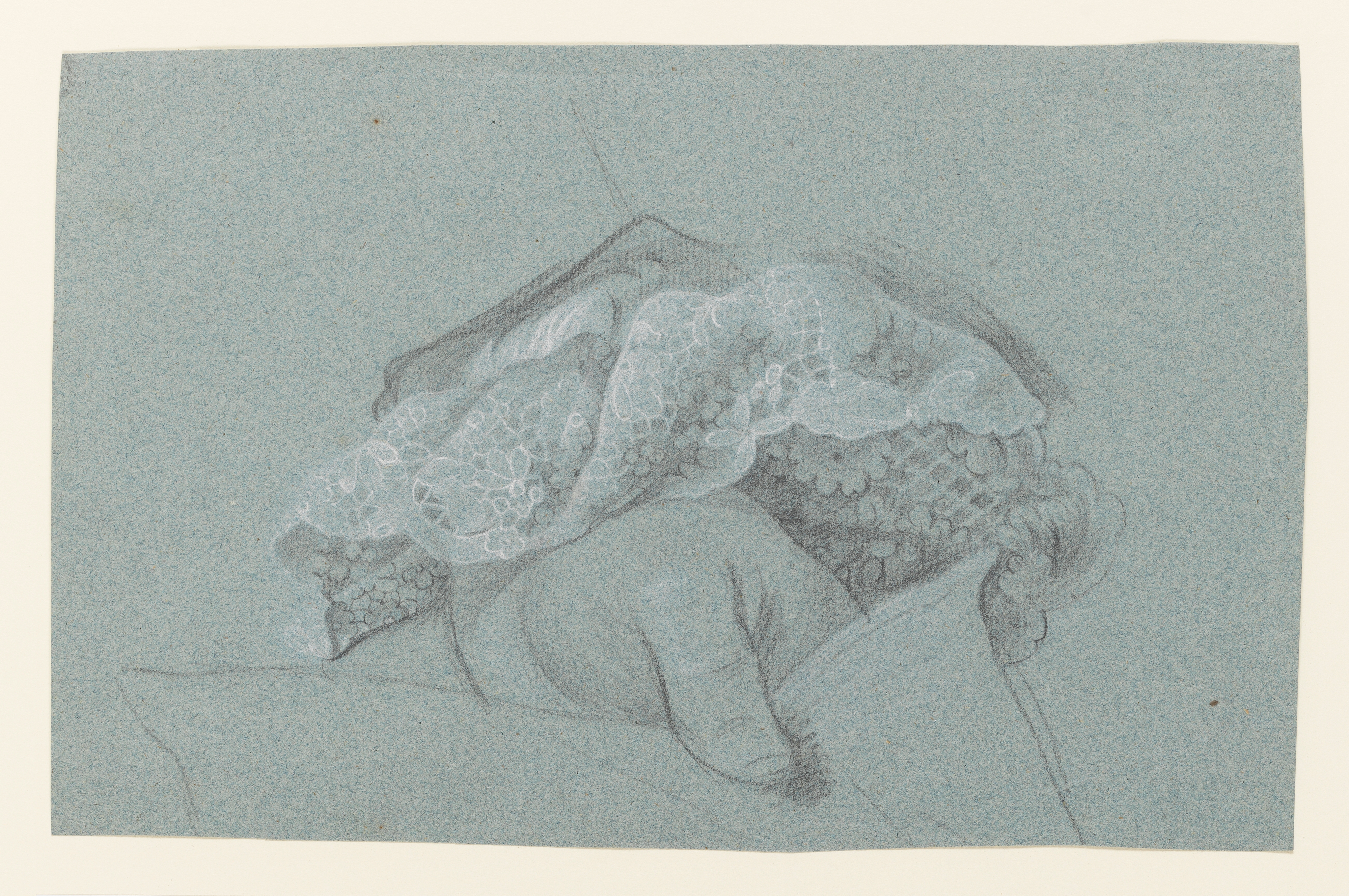 Study of a man's left hand, with a lace cuff, holding a sheet of paper; after Thomas Hudson's portrait of Charles Pinfold. Made by Joseph Wright of Derby (1734 - 1797). Black and white chalk on blue laid paper, in cream window mount.