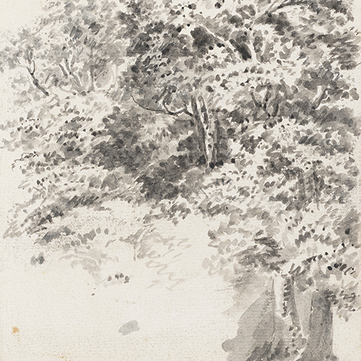 Drawing of trees. Inscribed on verso (handwritten in pencil): 'Joseph Wright of Derby' (William Bemrose's hand), and on recto, to upper right (handwritten in pencil): '12'. Made by Joseph Wright of Derby (1734 - 1797), c.1786 - 1790. Pencil and ink wash on laid paper. Displayed in a cream window mount.