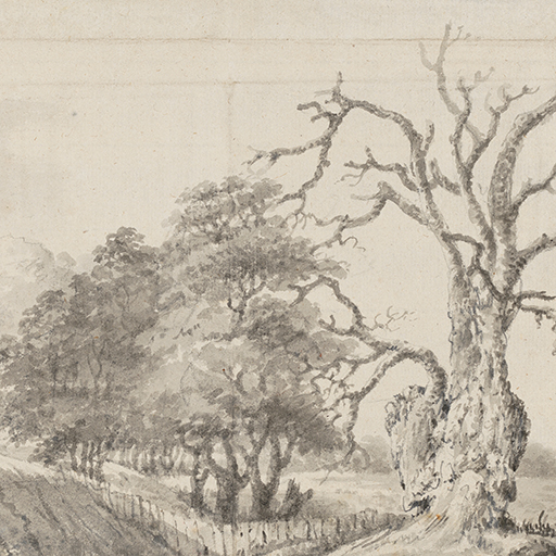 Drawing of a country road lined by trees with a dead tree to the right. Attributed to Joseph Wright of Derby (1734-1797), date unknown. Ink wash over pencil and charcoal on paper. Displayed in a cream window mount.