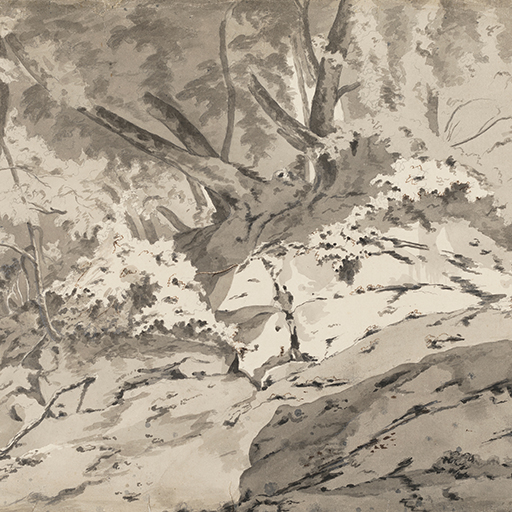 Study of a woodland landscape, the central focus being a group of trees growing upon a bank of rock. Inscribed to recto, lower right: 'J Wright', and verso: 'An origina sketch by Josh. Wright Esqr.' The edges of the sheet are rough and the lower left corner is missing. Made by Joseph Wright (1734 - 1797). Ink and grey ink wash over pencil on paper. In cream window mount.
