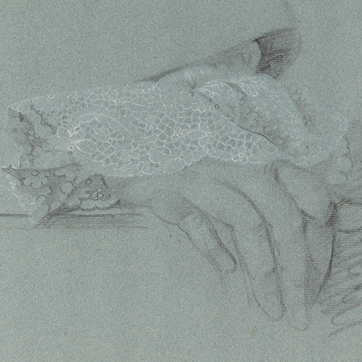 Study of a man's right hand, with a lace cuff, on a ledge, the cuff of his coat visible above. Loose shading to the right. Made by Joseph Wright of Derby (1734 - 1797). Black and white chalk on blue paper, in cream window mount.